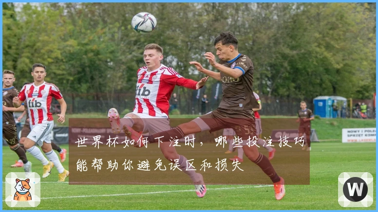 世界杯如何下注时，哪些投注技巧能帮助你避免误区和损失
