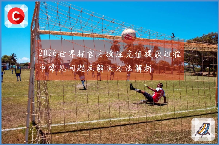 2026世界杯官方投注充值提款过程中常见问题及解决方法解析