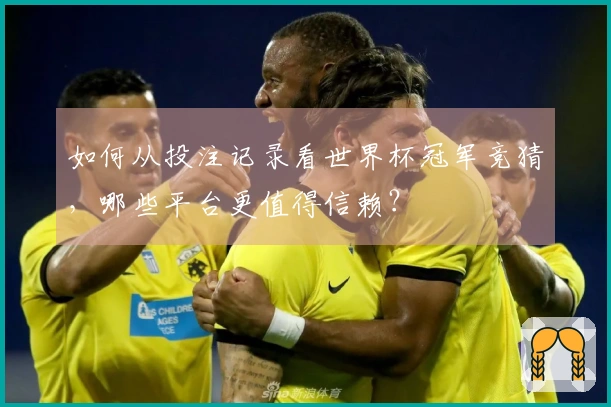 如何从投注记录看世界杯冠军竞猜，哪些平台更值得信赖？