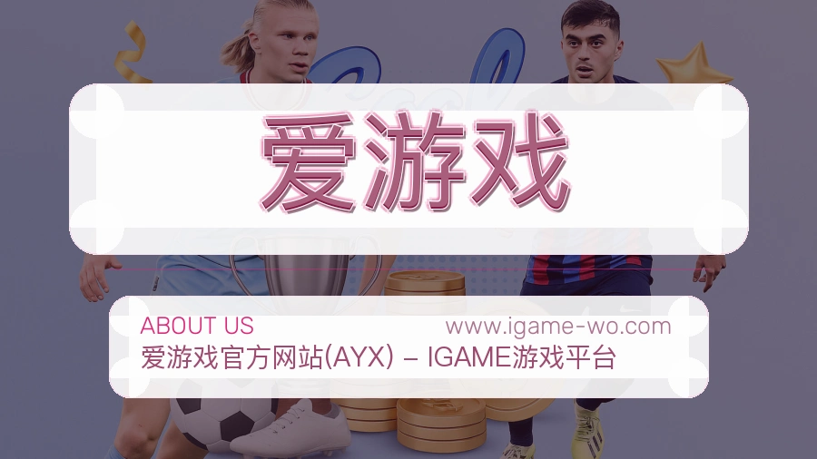 关于 爱游戏